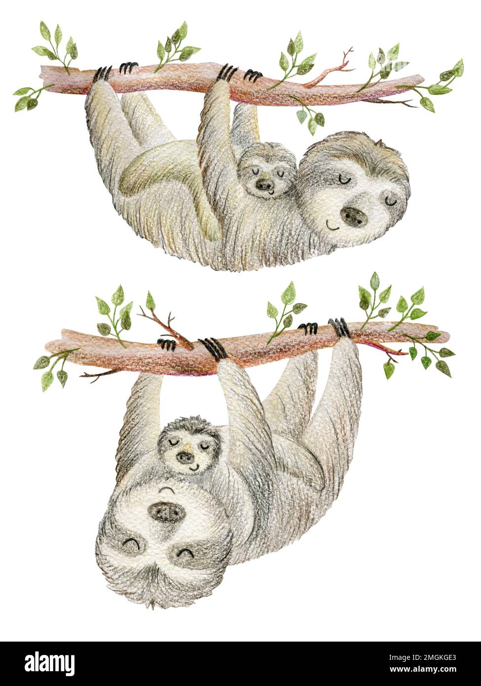 Satz von zwei Tiere Mamas und Babys. Stockfoto