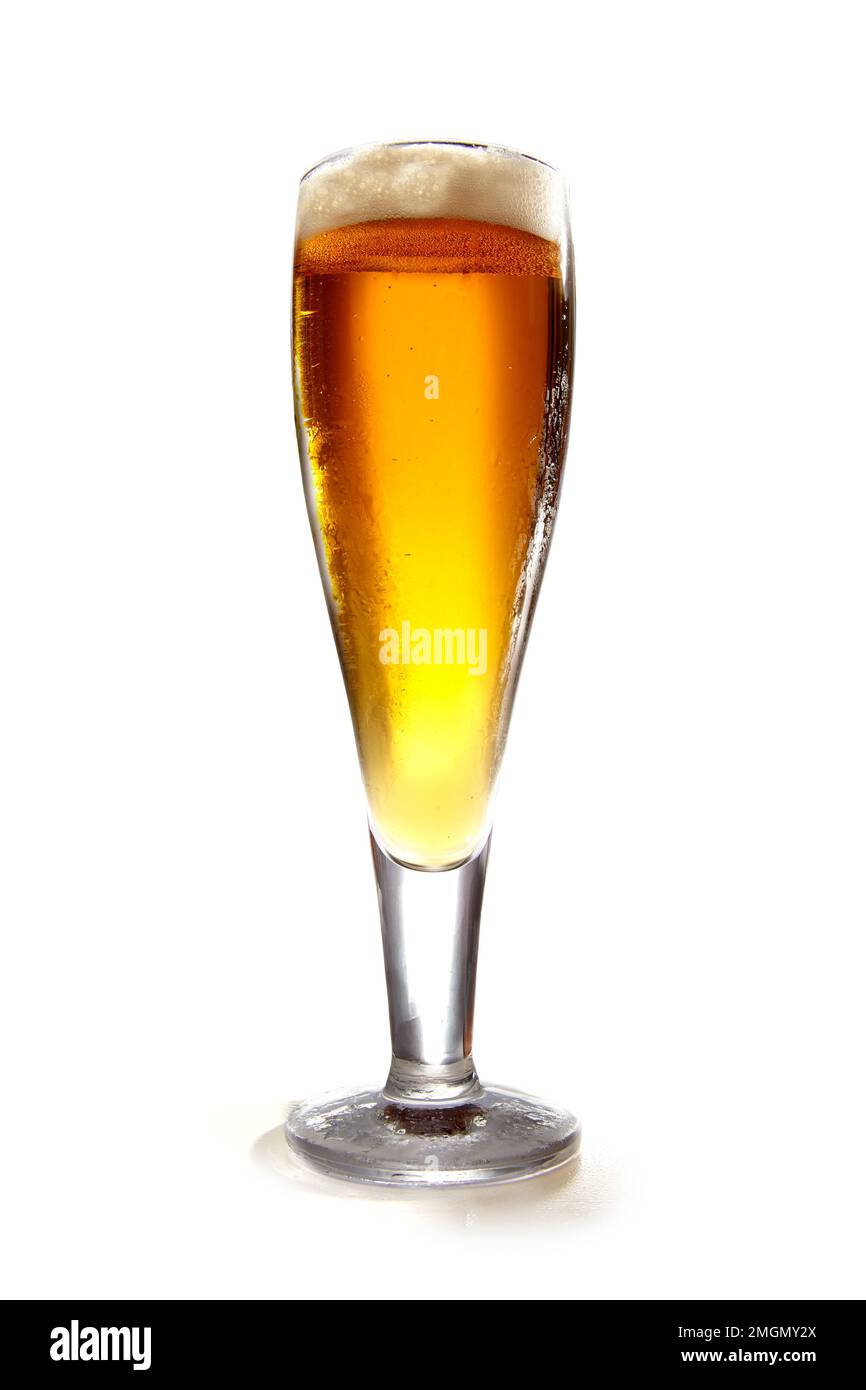 Kaltes Bier auf weißem Hintergrund, Lagerbier mit Bierschaum Stockfoto