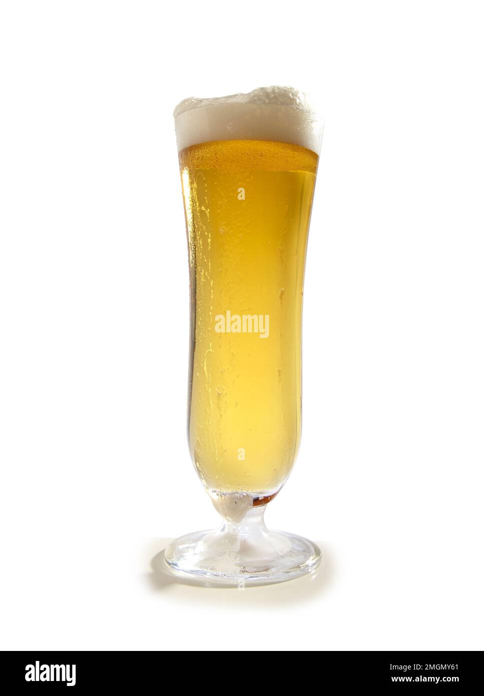 Kaltes Bier auf weißem Hintergrund, Lagerbier mit Bierschaum Stockfoto