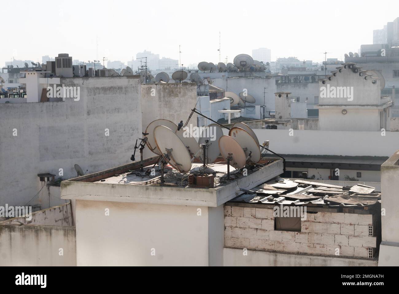 In Marokko scheint die gesamte Kommunikation und das fernsehen per Satellit zu erfolgen, die Rillen sind mit Geschirr bedeckt, hier in der Handelshauptstadt Casablanca Stockfoto