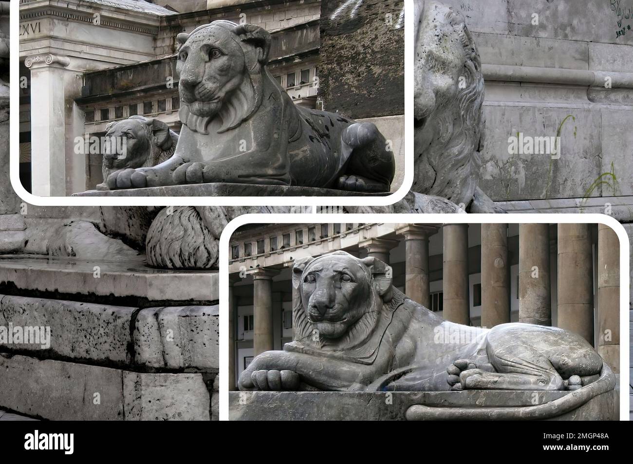 Die Piazza del Plebiscito befindet sich im historischen Zentrum von Neapel, sie ist eine der größten in der Stadt und in Italien und aus diesem Grund ist sie die MOS Stockfoto