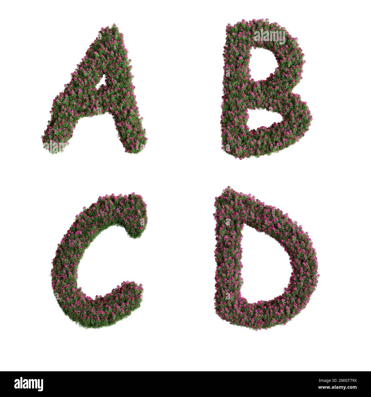 3D-Darstellung des Alphabets der Nerium-Oleanderblüten - Buchstaben A-D. Stockfoto