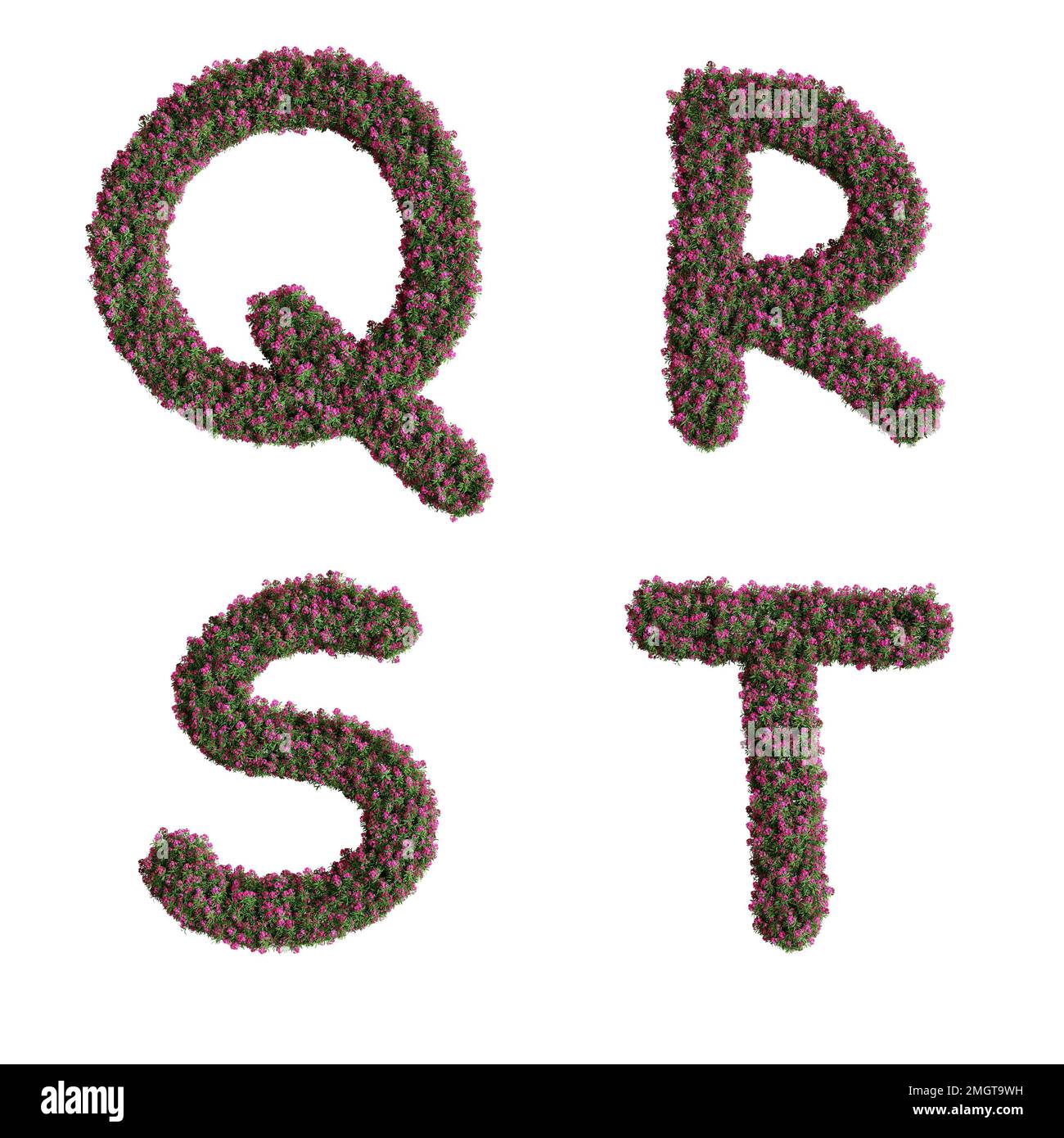 3D-Darstellung des Alphabets der Nerium-Oleanderblüten - die Buchstaben Q-T Stockfoto