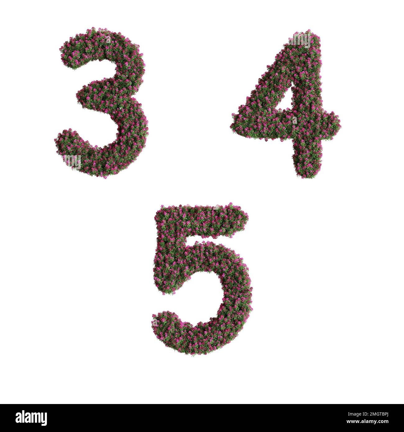 3D Darstellung des Alphabets der Nerium-Oleanderblüten - Ziffern 3-5 Stockfoto