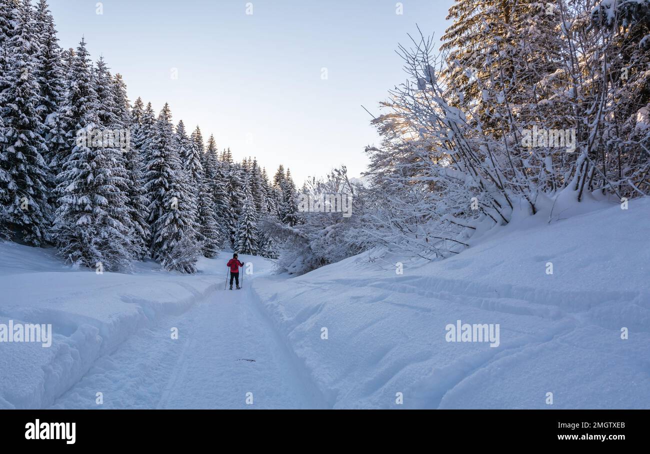 Winterlandschaft mit schneebedeckten Bergen an einem sonnigen Tag. Andalo Village, Adamello Brenta Natural Park, Trentino Alto Adige, Norditalien, Europaeisch Stockfoto