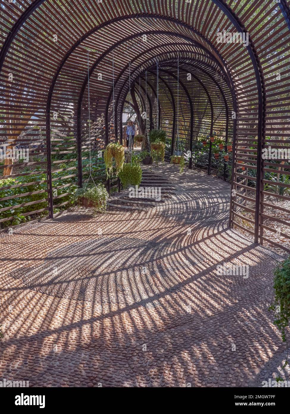 Ein gewölbter Fußweg aus Metall und Holz in einem Garten in Kapstadt, Südafrika Stockfoto