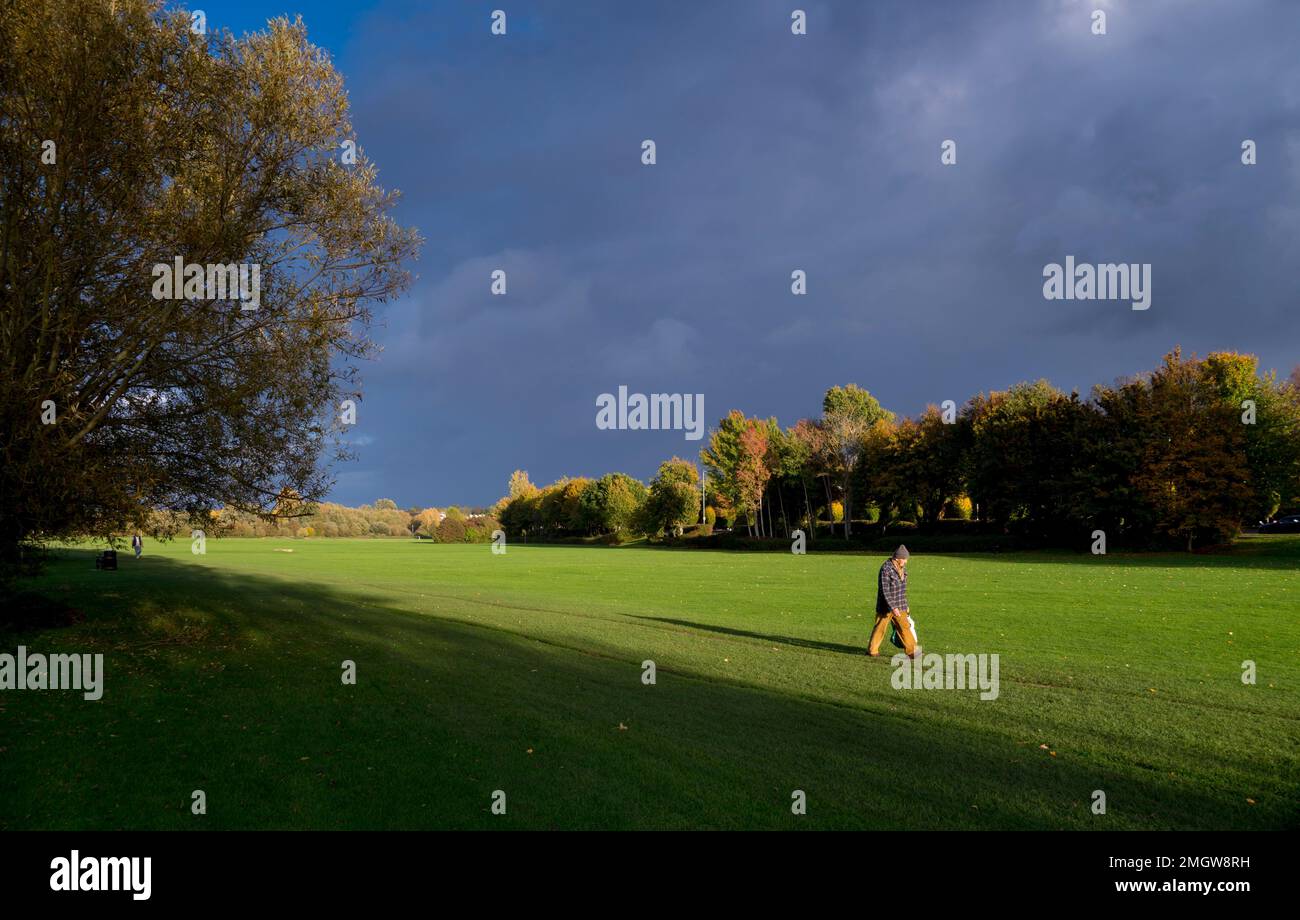 Europa, Großbritannien, England, Reading, Thames Valley Park Walker Stockfoto