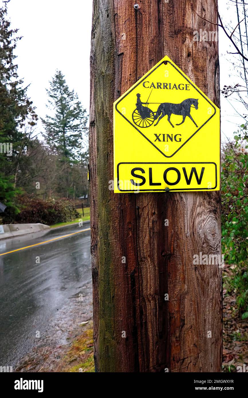 Gelbes Warnschild – Schild „Carriage Xing Slow“ an einem Versorgungsmast entlang einer Landstraße in Maple Ridge, B.C., Kanada. Stockfoto