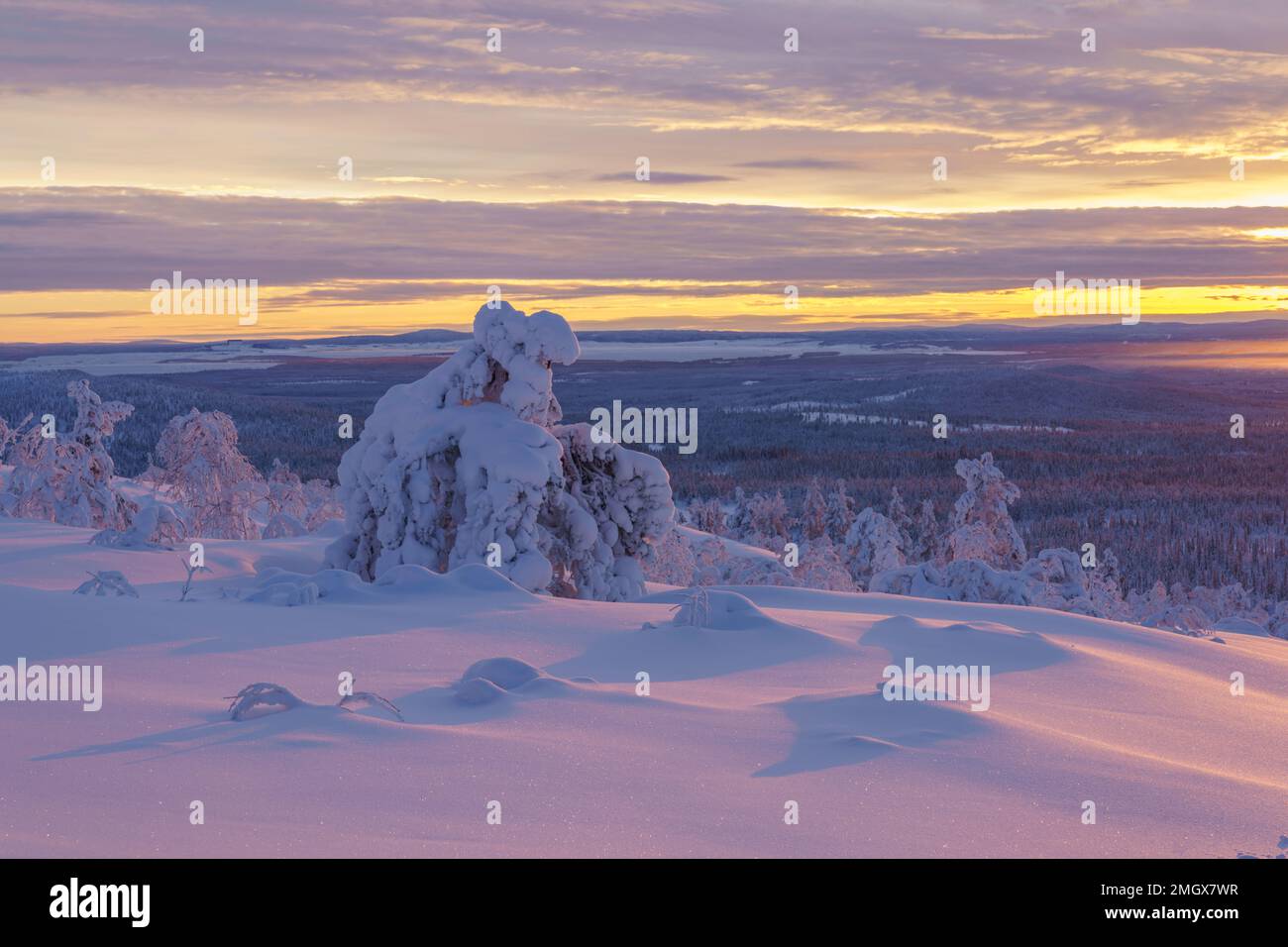 Winterlandschaft bei Sonnenuntergang mit farbenfrohem Himmel bei Sonnenuntergang, Gällivare County, Schwedisches Lappland, Schweden Stockfoto