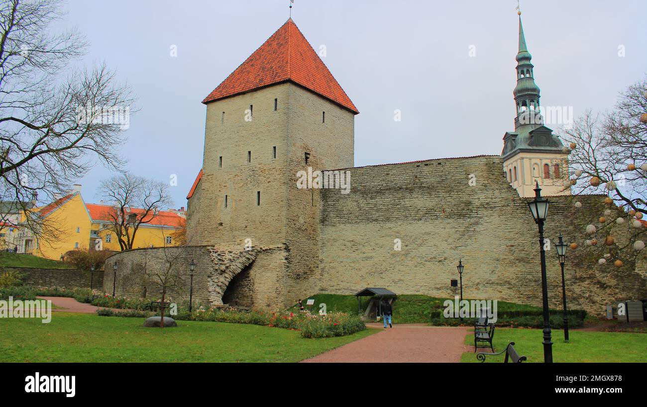 Neitsitorn, 1400, Tallinn Stockfoto