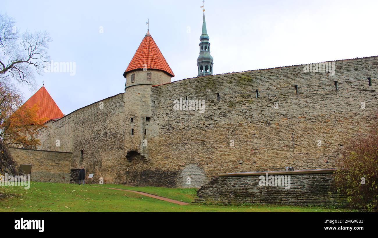 Neitsitorn, 1400, Tallinn Stockfoto