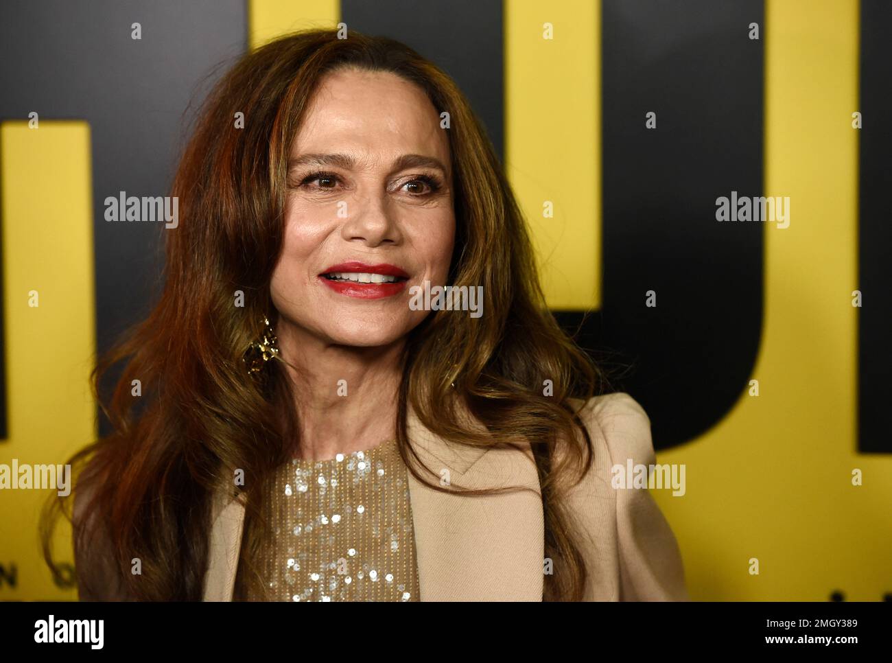 Lena Olin, a cast member in the Amazon Prime Video series "Hunters," poses at the premiere of the show at the Directors Guild of America, Wednesday, Feb. 19, 2020, in Los Angeles. (AP Photo/Chris Pizzello) Stockfoto