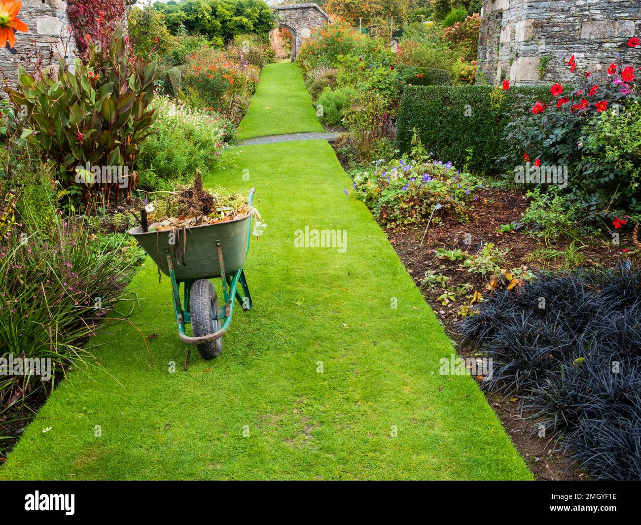 Ende Oktober Räumung und Reinigung an der langen Grenze im Garden House, Buckland monachorum, Devon, Großbritannien Stockfoto