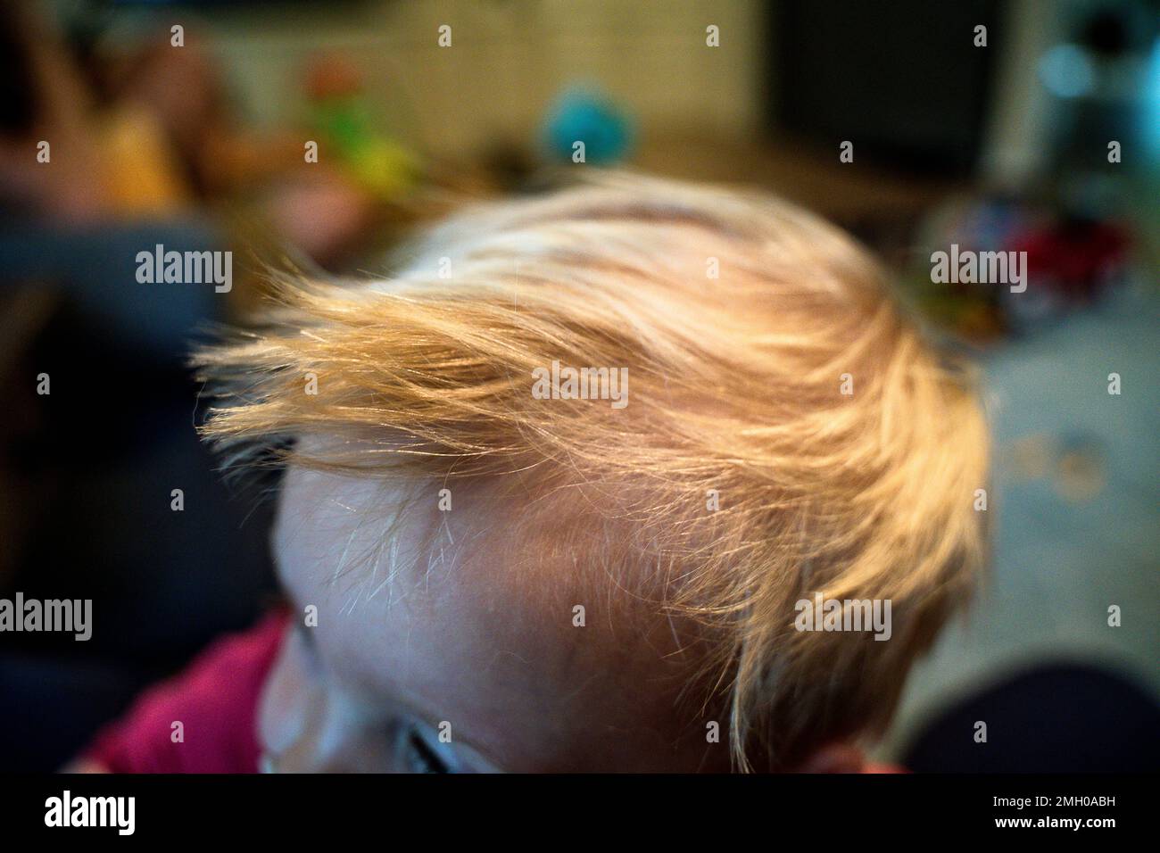 Nahaufnahme von Blonde Haar von Young Boy, das auf Head auftaucht Stockfoto