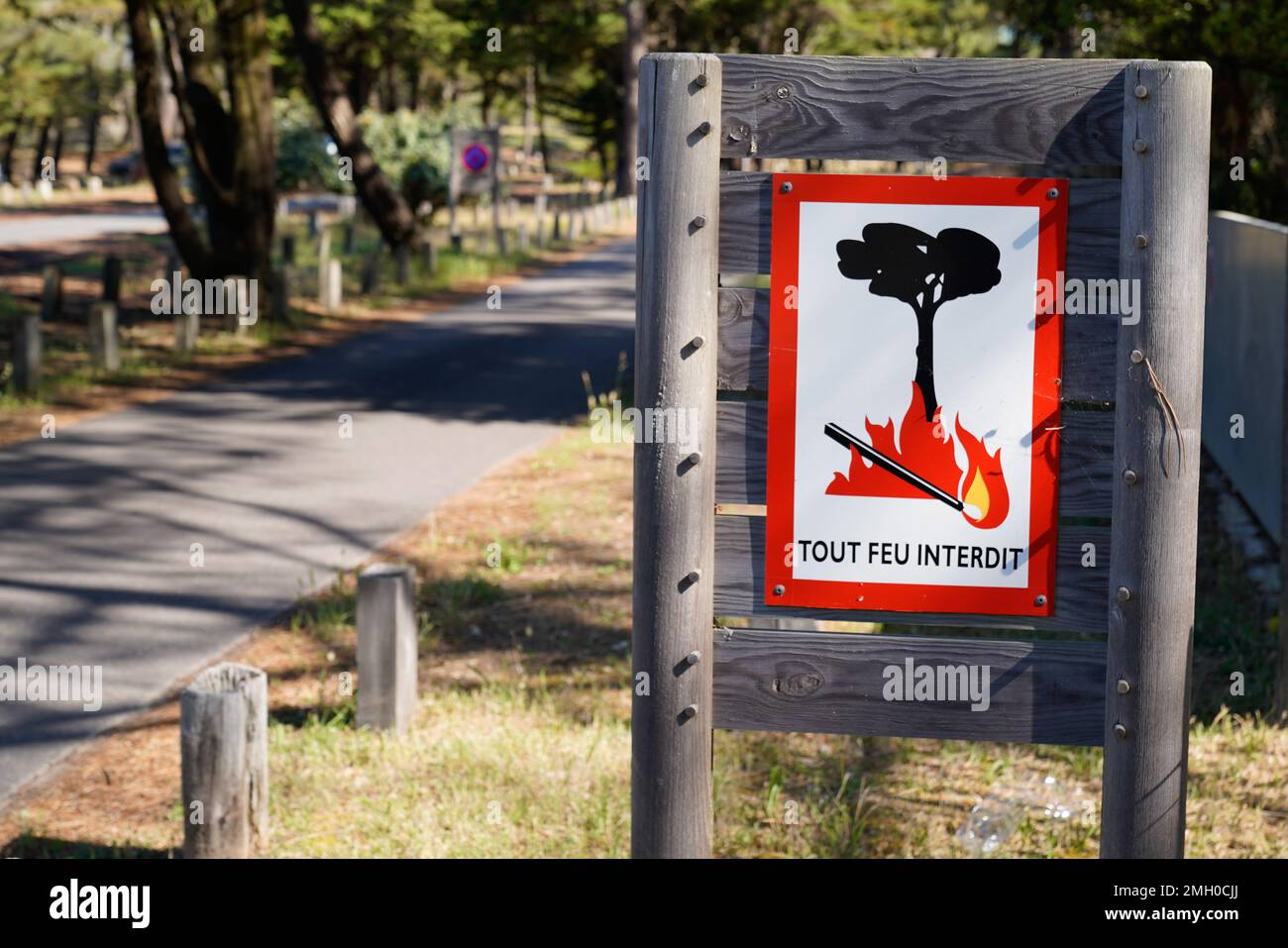 Kein offenes Feuer brennender Symboltext übersetzt in französisch tout feu interdit in hölzernem Outdoor Park Übereinstimmung mit Flammenbaum Stockfoto