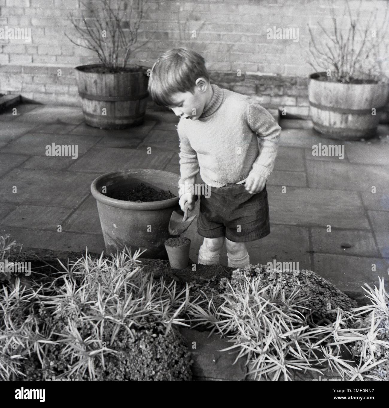 1960er, historisch, draußen bei einer Gartenplage, ein kleiner Junge in Shorts und Rollkragenpullover, mit einer kleinen Kelle, die mit der Erde spielt und sie von einem großen Topf in einen kleineren verschiebt, England, Großbritannien. Stockfoto