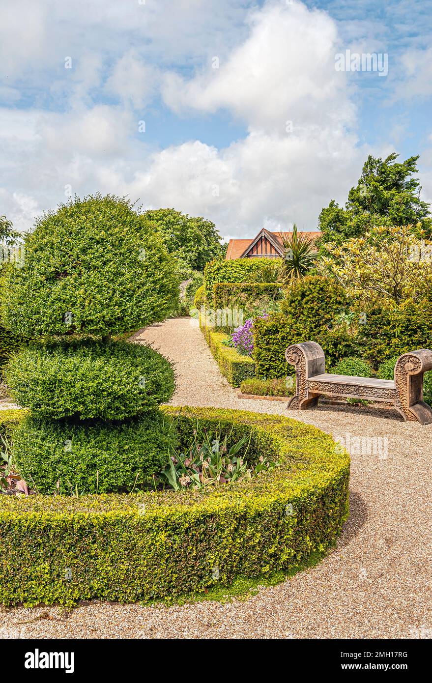 Geformte Buchsbäume im Collector Earls Garden in Arundel Castle, West Sussex, England Stockfoto