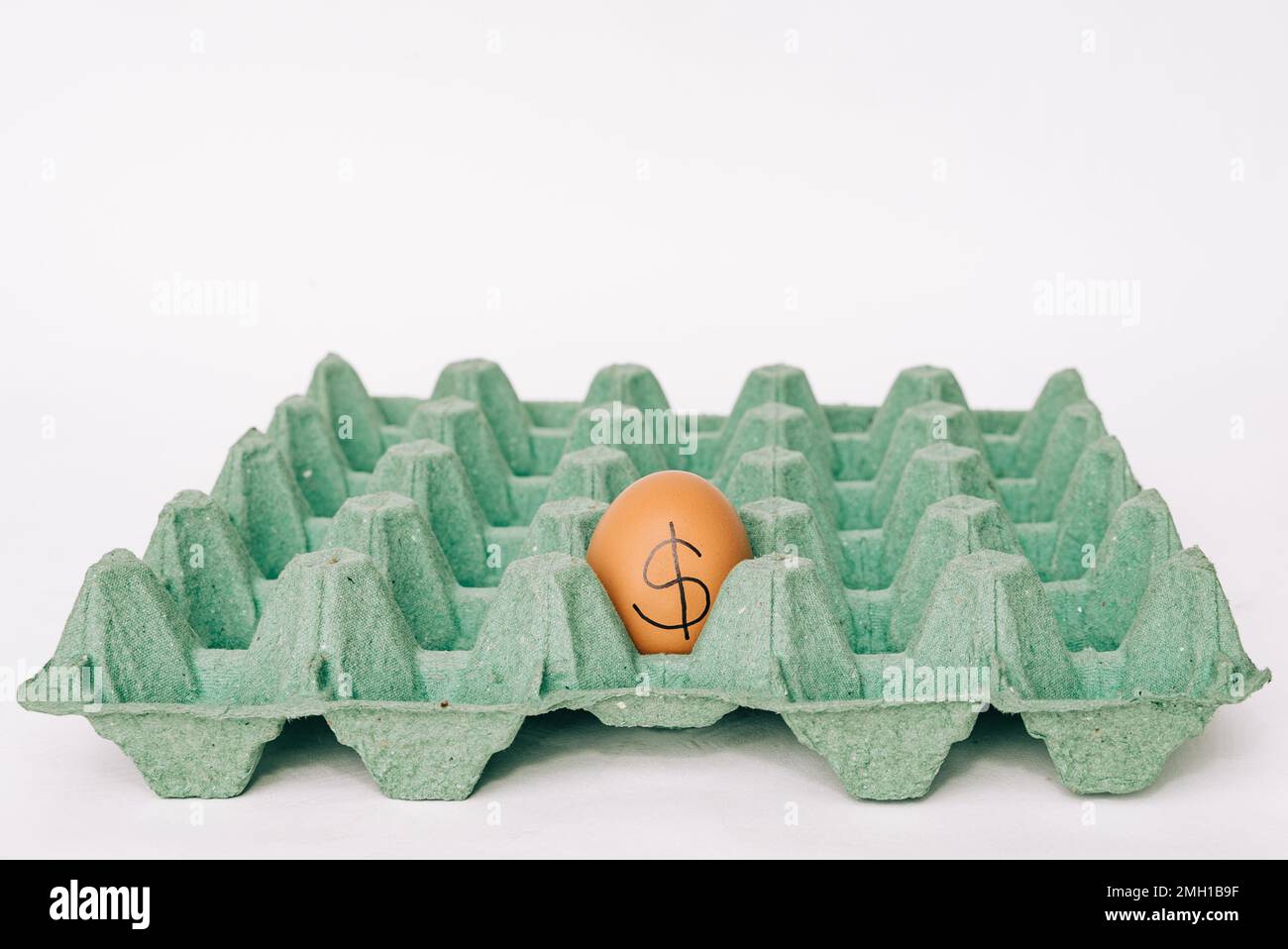 Konzeptionelles Bild eines Eies mit einem Dollar darauf in einem leeren Eierkarton. Konzept von teuren Lebensmittelpreisen und Lebensmittelknappheit. Stockfoto