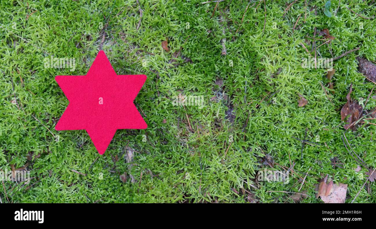 Roter Stern auf einer Moosfläche mit Kopierbereich Stockfoto