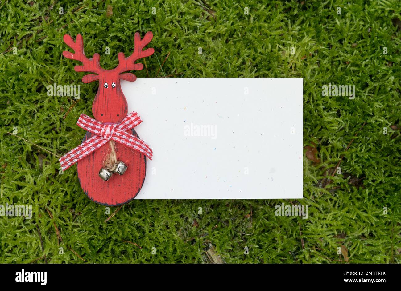 Grußkarte mit roter Rentierfigur auf grüner Moosfläche und Kopierfeld Stockfoto