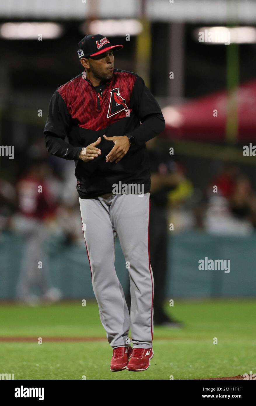 Venezuela coach Luis Ugueto jumps up after visiting the pitching mound during a Caribbean Series baseball final against the Dominican Republic, in San Juan, Puerto Rico, Friday, Feb. 7, 2020.(AP Photo/Fernando Llano) Stockfoto