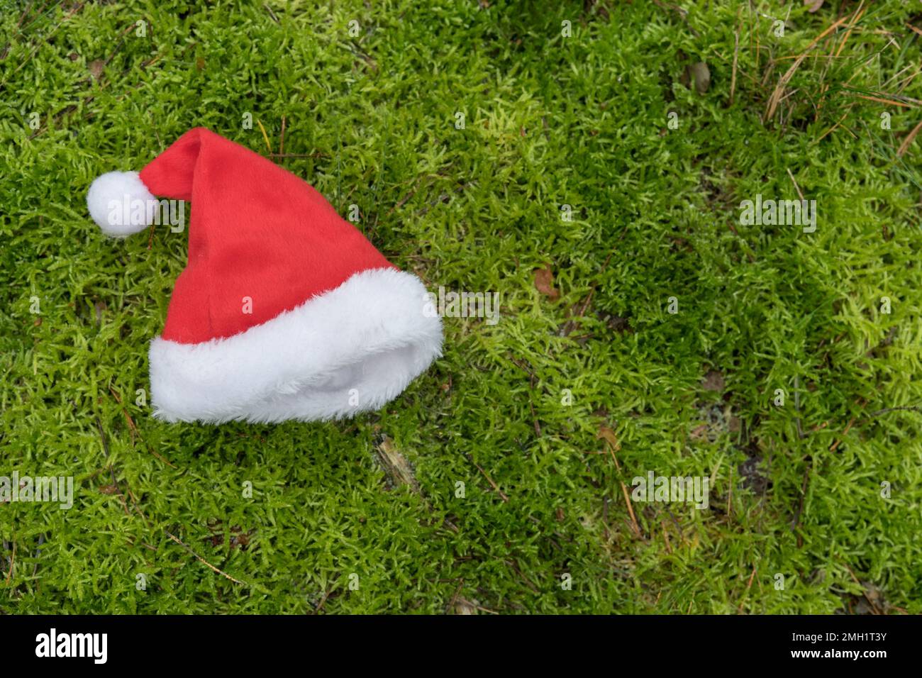 Weihnachtsmannmütze auf grüner Moosfläche mit Kopierfeld Stockfoto