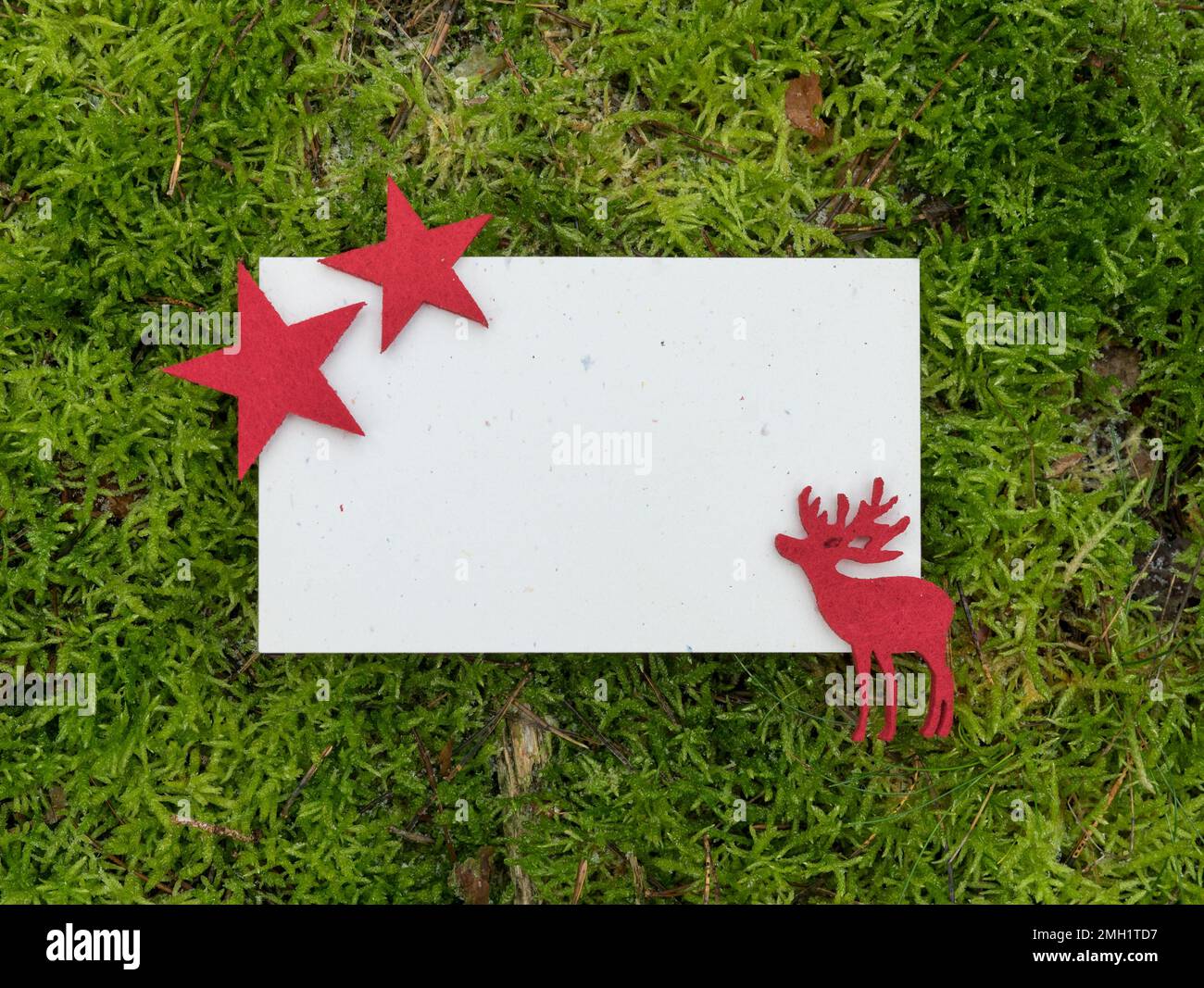Grußkarte mit roter Rentierfigur und Sternen auf grüner Moosfläche und Kopierfeld Stockfoto