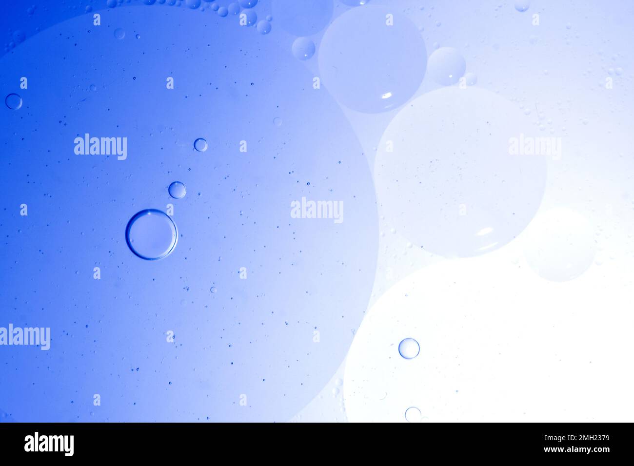 Makro von Öl und Wasser blasen Erstellen einer wissenschaftlichen Bild von Zell- und Zellmembran. Stockfoto