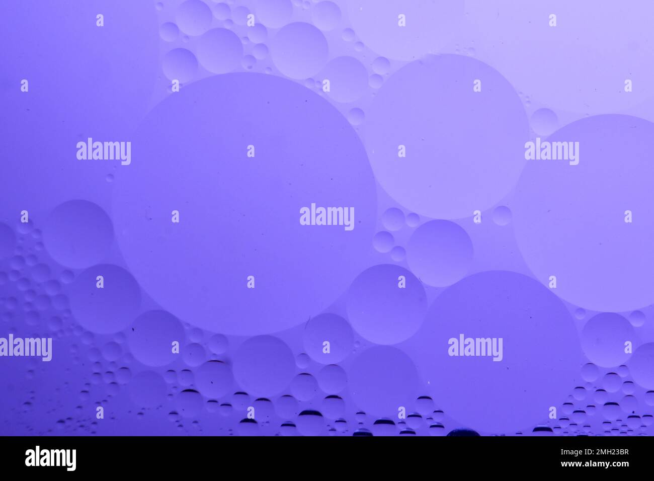 Ölblasen auf dem Wasser mit violettem Hintergrund für kosmetische flüssige Schönheitsprodukte. Gesichts-Serum-Hintergrund Stockfoto