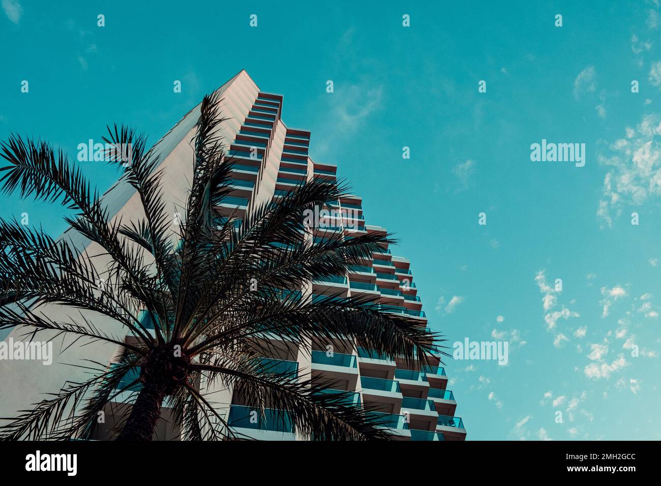 Abstrakter architektonischer Hintergrund mit weißem, modernem Betonhaus, Fragment und Palmen unter blauem, wolkigen Himmel. Ansicht aus niedrigem Winkel Stockfoto