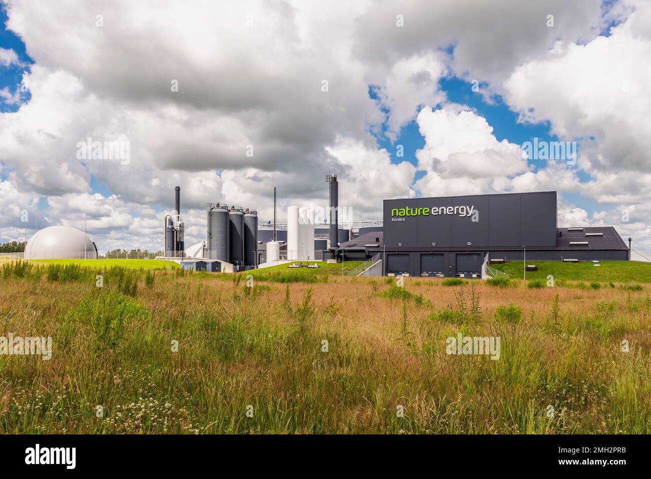 Biogasanlage Nature Energy in Esbjerg, Dänemark. Nature Energy ist Dänemarks größter Biogaserzeuger Stockfoto