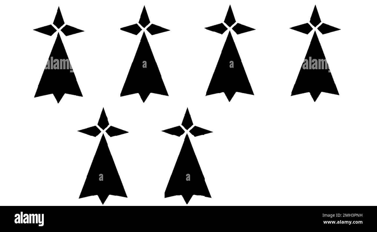 Minenbeine, Emblem der Bretagne Stock Vektor