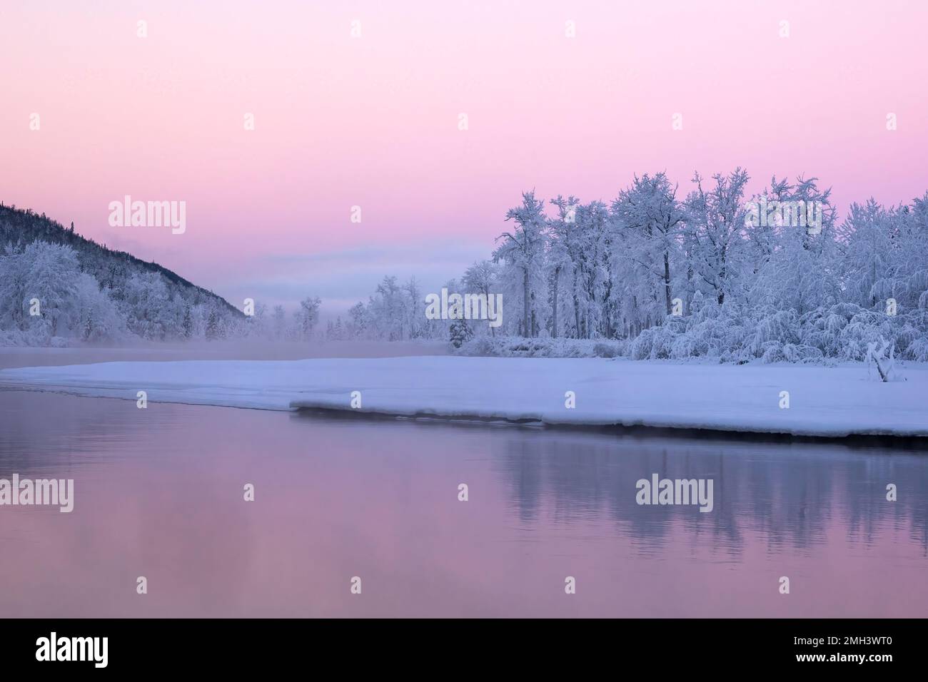 Die rosafarbenen Pastelltöne von Sunrise verleihen der kalten Winterlandschaft am Ufer des Knik River im südlichen Zentralaska Wärme. Stockfoto