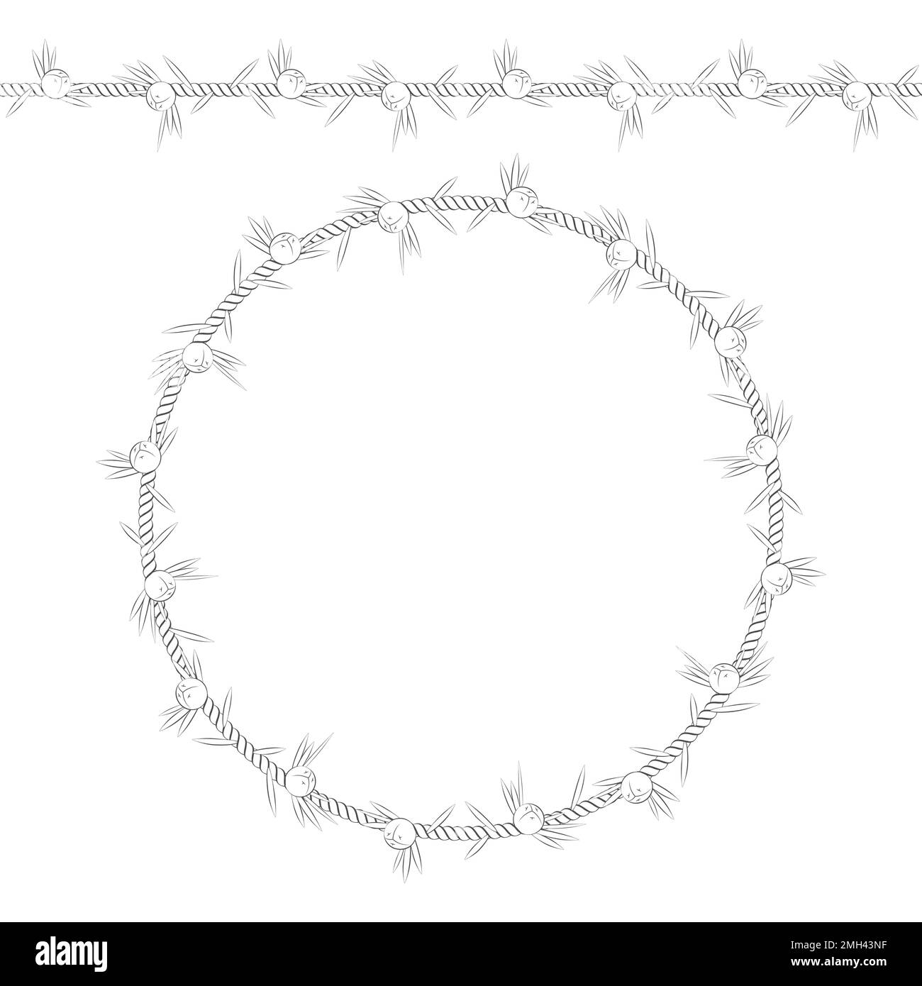 Nahtloses Muster und Rahmen der Kordel mit Wacholder. Isolierte Objekte auf Weiß. Stock Vektor