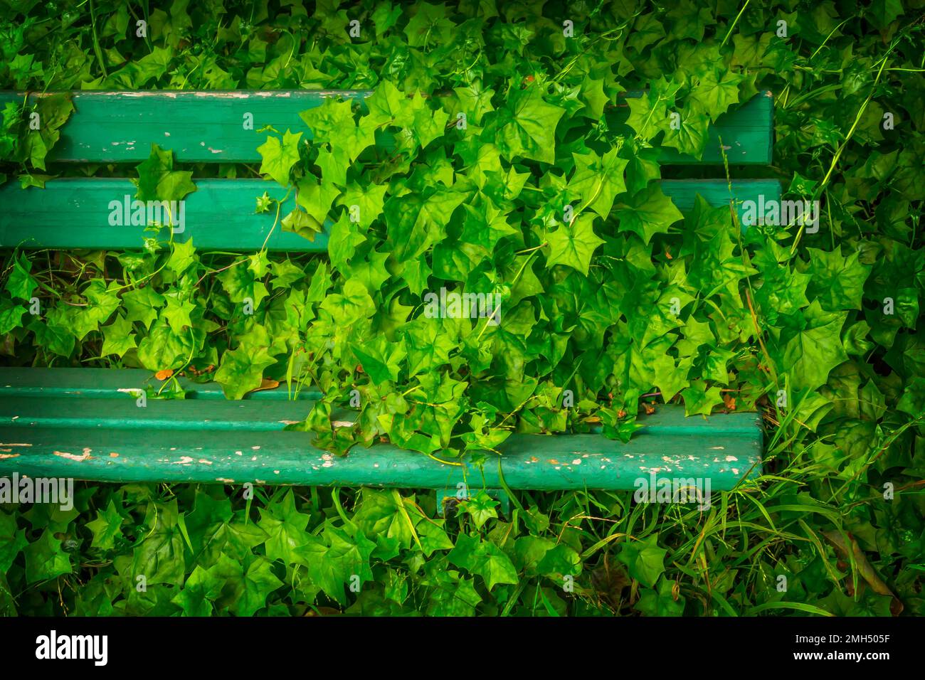 Dieser Platz Ist Besetzt Stockfoto