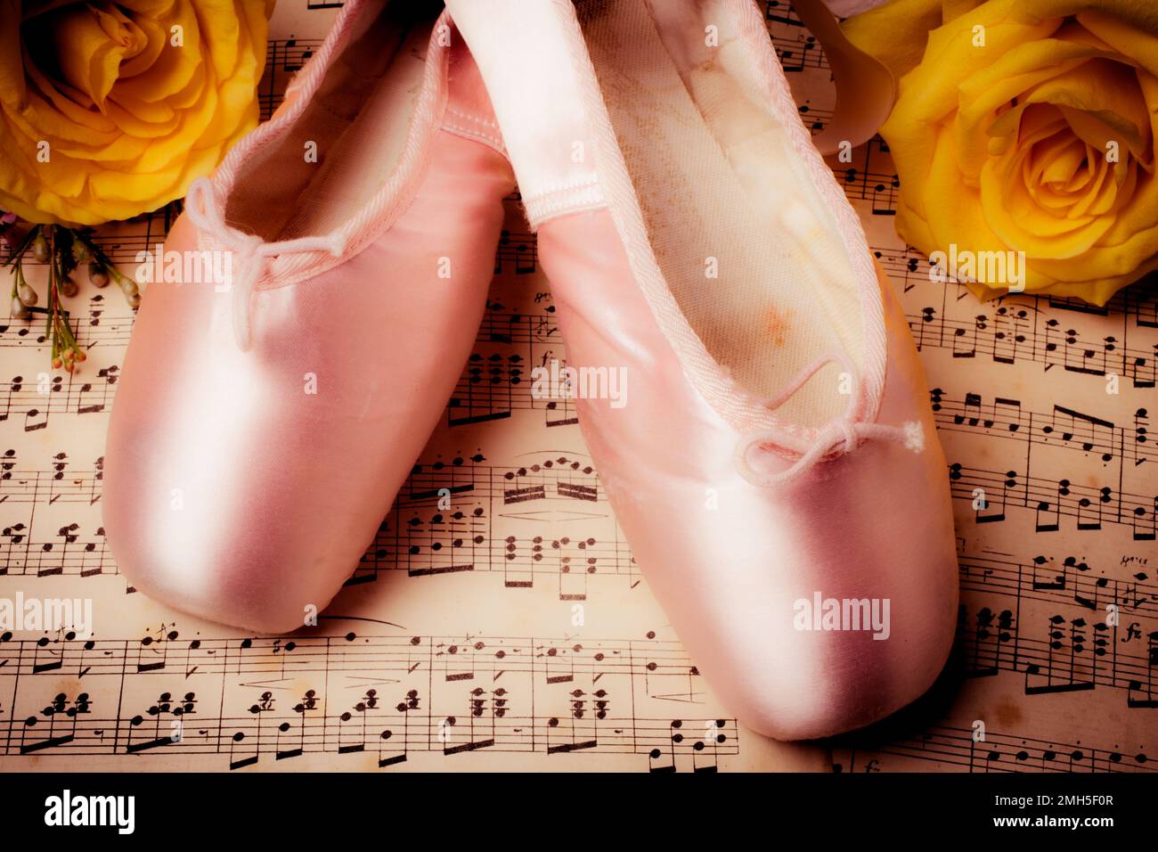 Pinkfarbene Hausschuhe Und Rosen Stockfoto