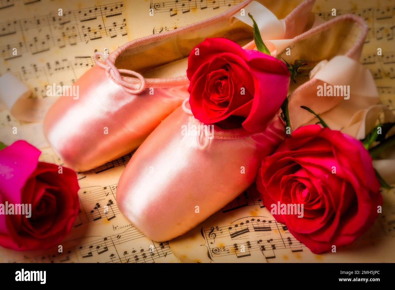 Hausschuhe mit roter Rose Stockfoto