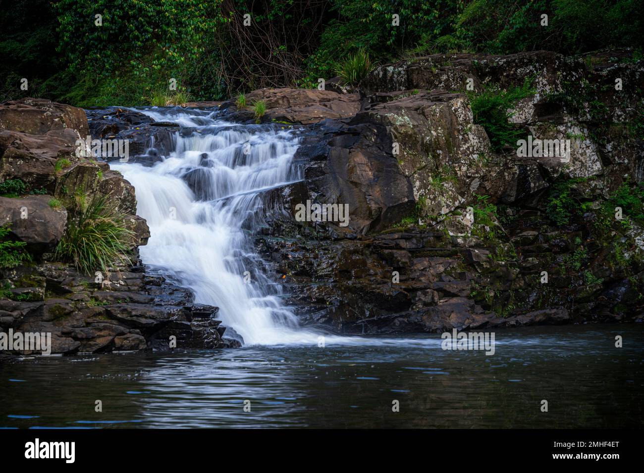 Gardners Falls vor Maleny, Sunshine Coast Hinterland, Queensland Australien Stockfoto