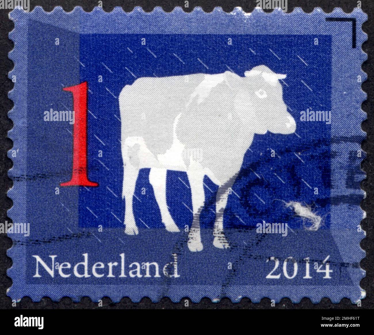 TIMBRE OBLITERIE NEDERLAND. VACHE. 2014. 1 Stockfoto