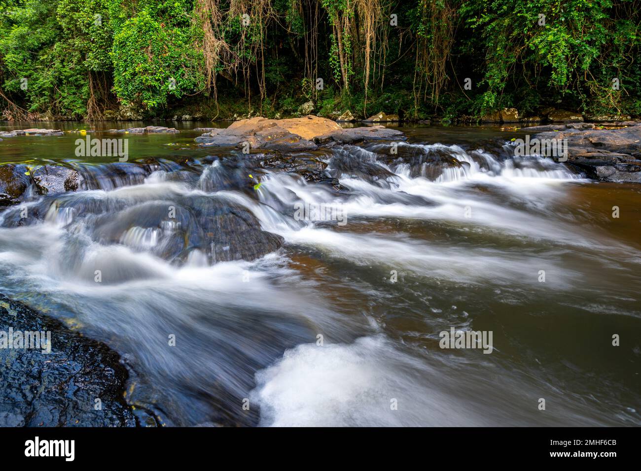 Kaskaden auf dem Obi Obi Creek in der Nähe der Gardners Falls außerhalb von Maleny, Hinterland der Sunshine Coast, Queensland Australien Stockfoto