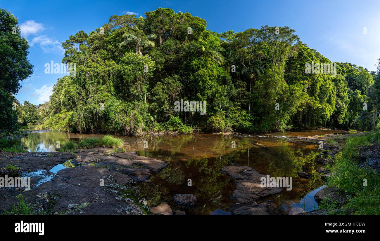 Regenwald am Ufer des Obi Obi Creek, Blackall Range, nahe Maleny, Sunshine Coast Hinterland Queensland Stockfoto