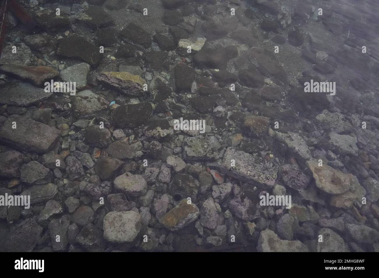 Nahaufnahme der felsigen Unterwasseroberfläche mit verschiedenen Texturen Stockfoto