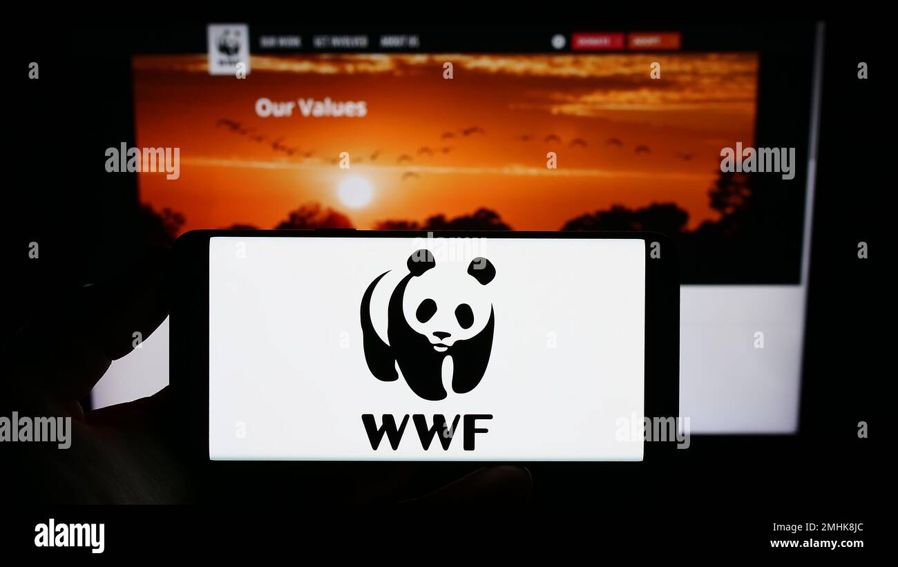 Person, die ein Smartphone mit dem Logo des World Wide Fund for Nature Inc. Besitzt (WWF) auf dem Bildschirm vor der Website. Konzentrieren Sie sich auf das Display des Telefons. Stockfoto