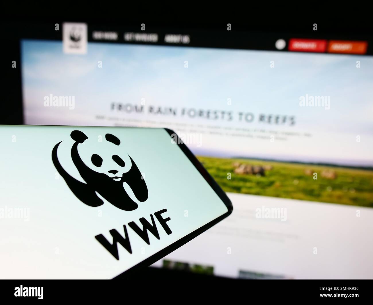 Mobiltelefon mit Logo des World Wide Fund for Nature Inc (WWF) auf dem Bildschirm vor der Website. Fokus auf die Mitte rechts des Telefondisplays. Stockfoto