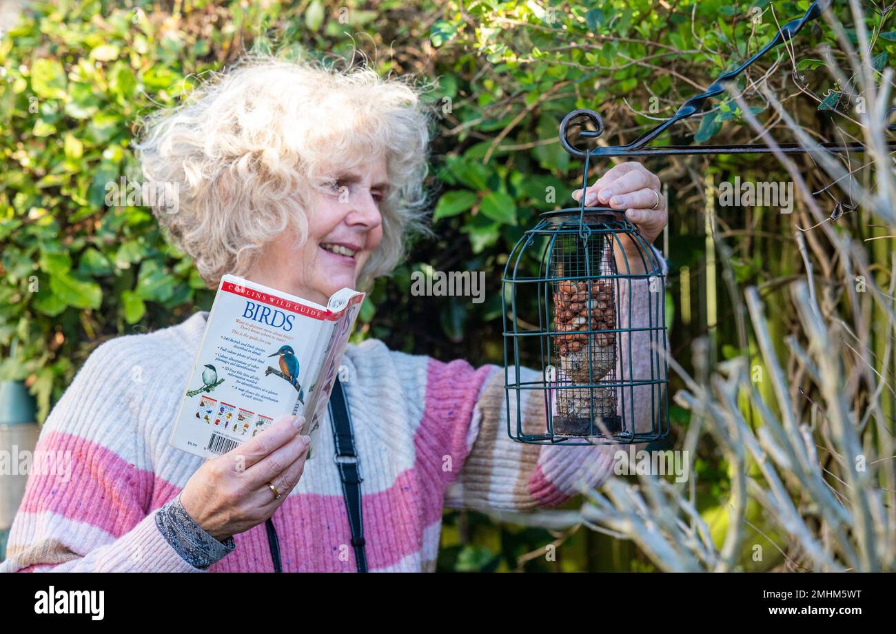 Brighton UK 27. . Januar 2023 - Eine in Brighton Ansässige Person stellt Vogelfutter in ihrem kleinen städtischen Garten aus , da sie dieses Jahr an der diesjährigen RSPB Big Garden Birdwatch vom Freitag , dem 27. . Januar bis Sonntag , dem 29. . Januar teilnimmt . Die Big Garden Birdwatch von RSPB überwacht jedes Jahr, wie es den Vögeln geht: Credit Simon Dack / Alamy Live News Stockfoto