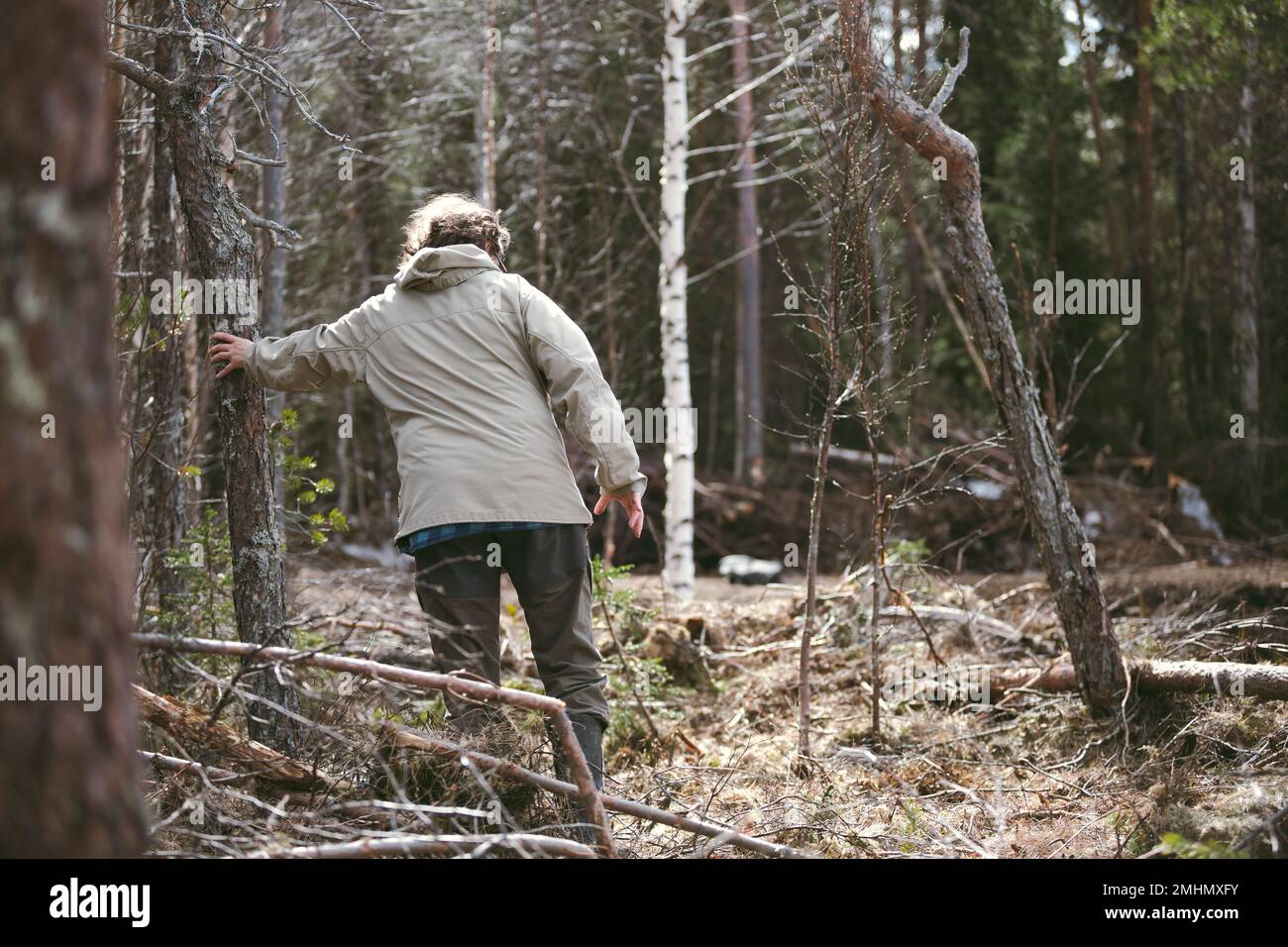 Frau im Wald wandern Stockfoto