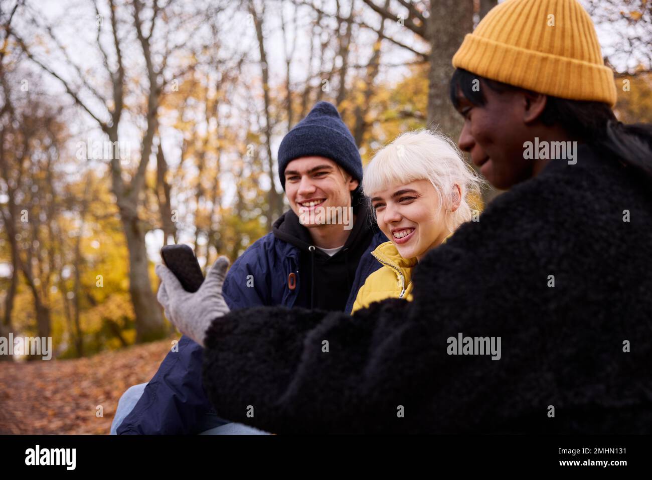 Drei Freunde im Park mit dem Smartphone Stockfoto