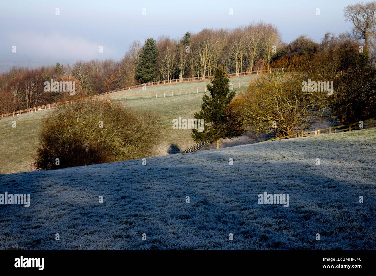 Ein Blick auf einen frostigen Wintermorgen, Staverton, Northamptonshire, England, Großbritannien Stockfoto