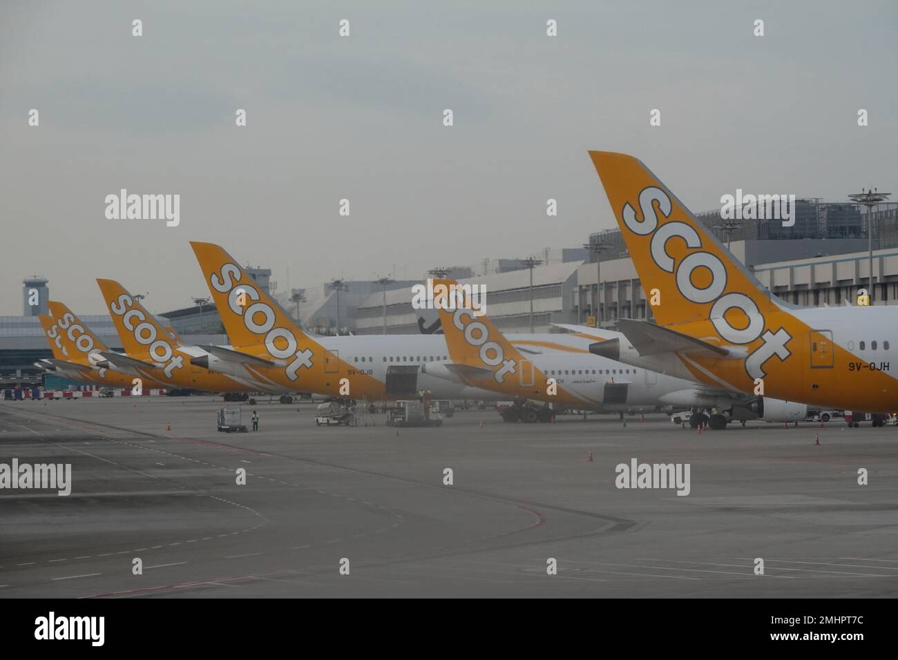 Januar 2023 Singapore Airlines Billigfluggesellschaft Scoot Aircraft am Changi International Airport Terminal Singapur Stockfoto