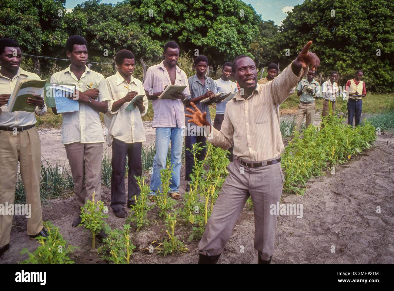 Sambia. Mongu Junglandwirte und Studenten am Farmers Institute der westlichen Provinz, die einen Hof auf dem Feld besuchen. Trefwoorden Stockfoto